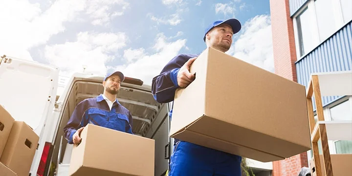 The Best Packers and Movers